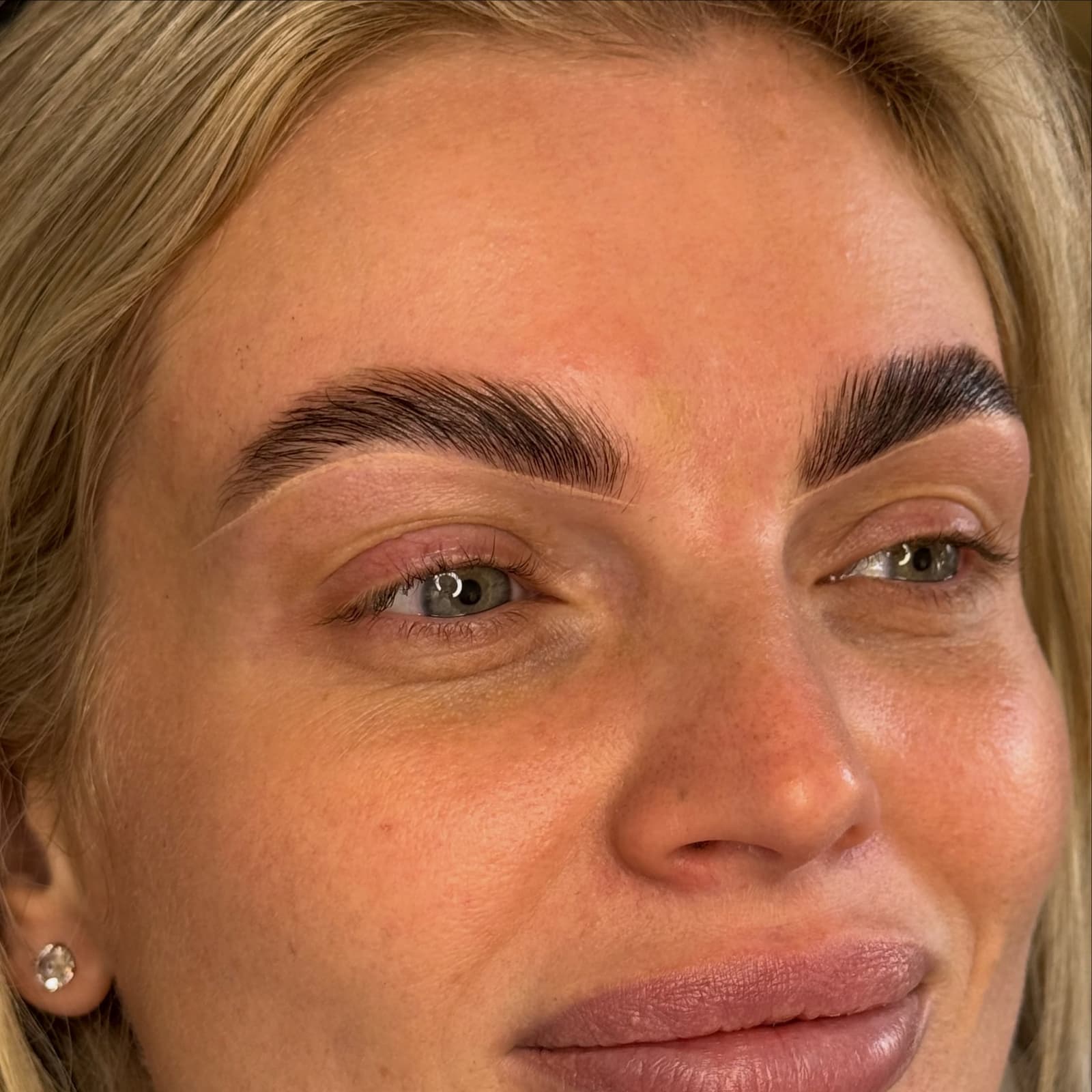 Fox Studio Master Precision Brow & Lamination Client Outcome